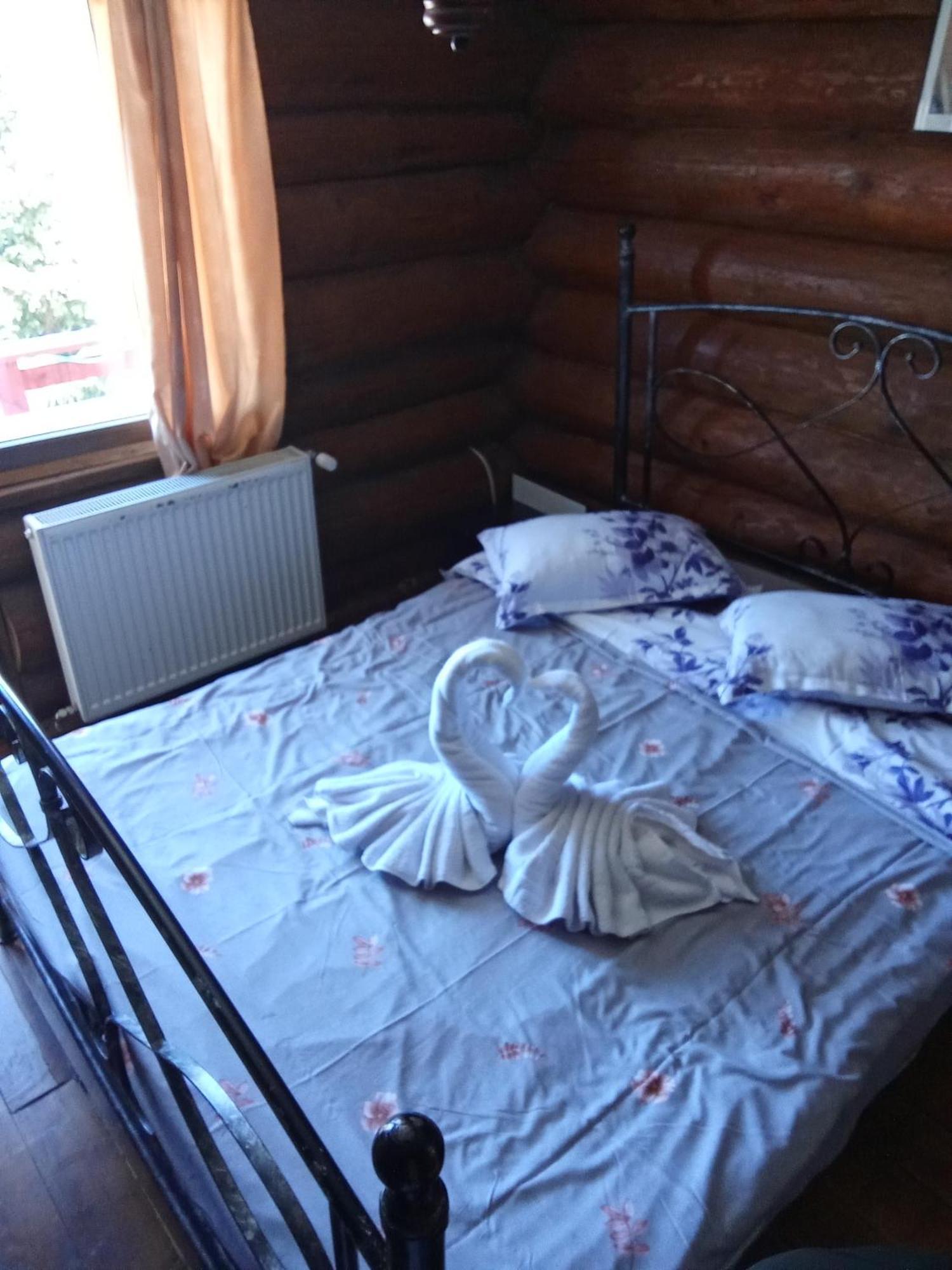 Cabană Mountain View