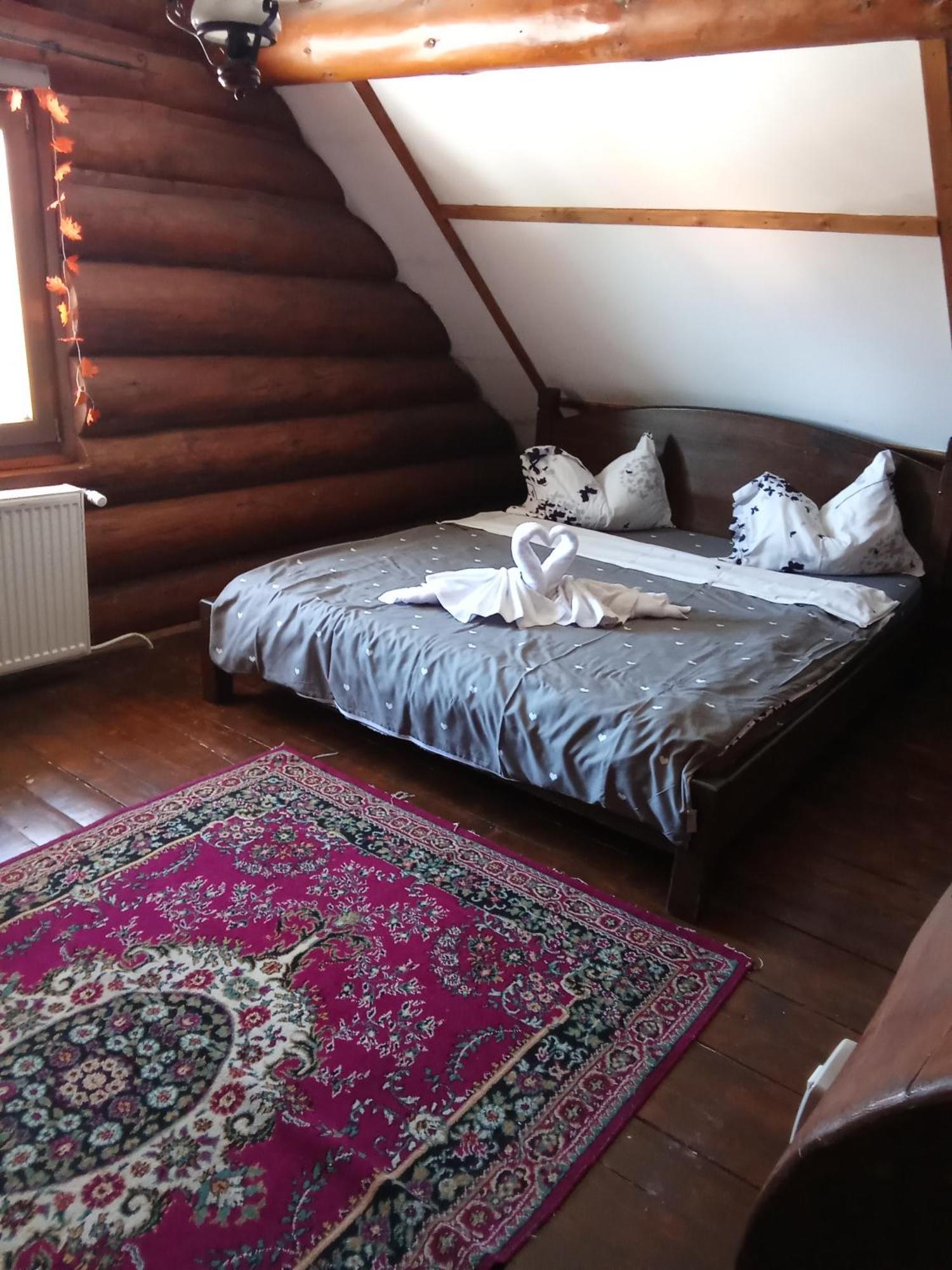 Mountain View Cabană Brașov