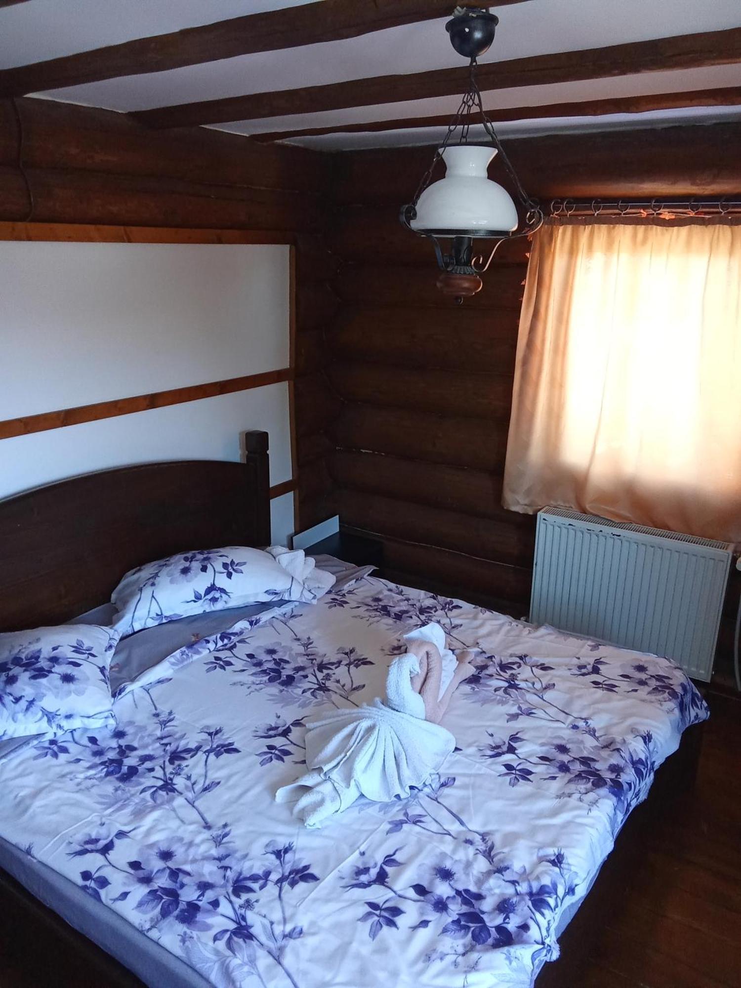 Mountain View Cabană